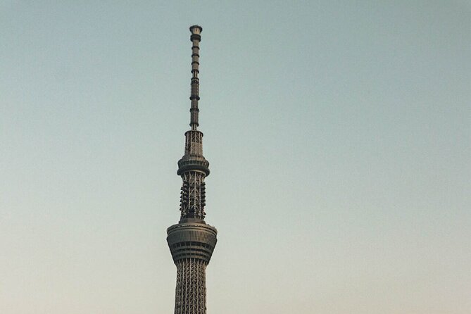 Private Tokyo Day-Tour by Car with English Speaking Guide. - The practical pitch: a private Tokyo day that avoids public transport pain