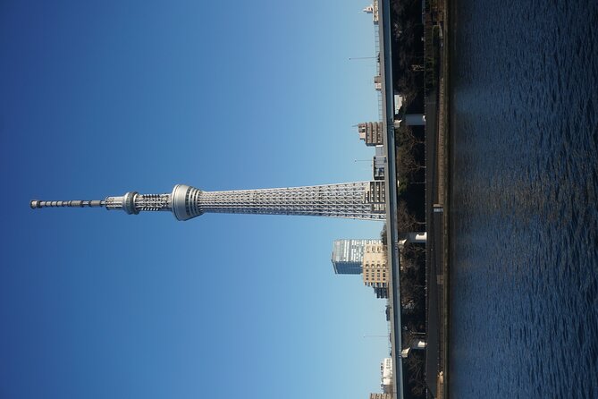 Private Tokyo Day-Tour by Car with English Speaking Guide. - Shibuya Sky: if you want the skyline, this is your ticket moment