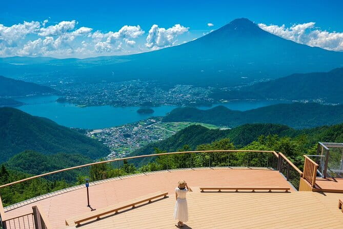 Private Tokyo with Exceptional Guide Tailored to Your Needs - Who should book this private Tokyo tour