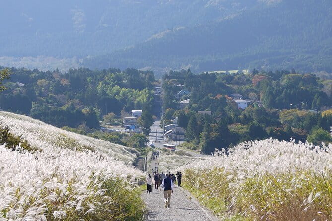 Private Tour - Hakone Day Trip! A Tour to Explore All Must-Sees! - cu-mo Hakone around 757 meters: foot baths and high views