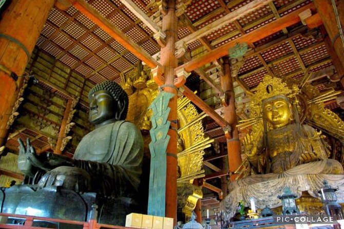 Private Tour Kyoto-Nara w/Hotel Pick Up & Drop off from Kyoto - Fushimi Inari-taisha: Shrine Time That Feels Like a Cultural Switch