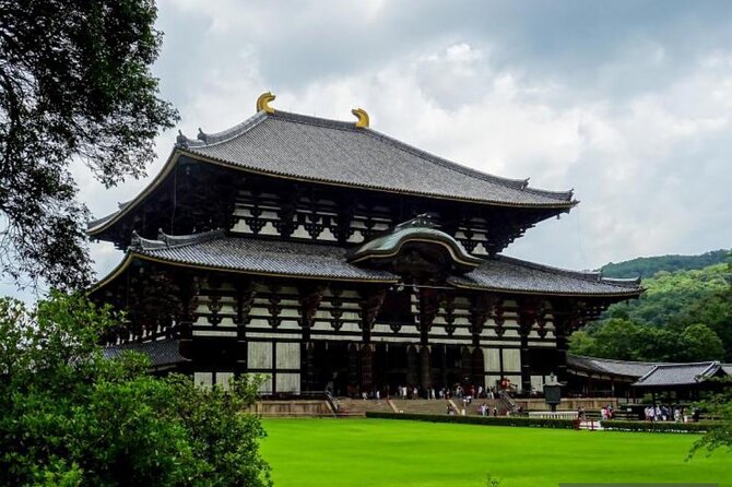 Private Tour Kyoto-Nara w/Hotel Pick Up & Drop off from Kyoto - Arashiyama Kimono Forest and Bamboo Forest: Free Time That Makes the Day Feel Like Kyoto