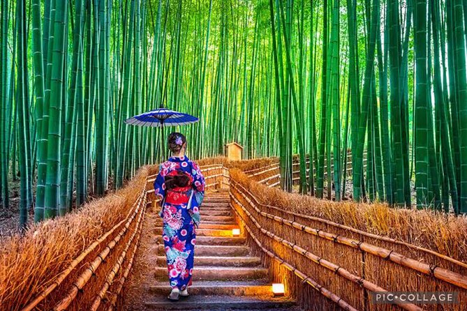 Private Tour Kyoto-Nara w/Hotel Pick Up & Drop off from Kyoto - Start Smart at 8:30, Then Let the Car Do the Work
