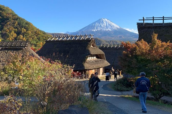 Private Tour to Mt. Fuji and Hakone (Fully Licenced Operator) - Private charter comfort from Tokyo Station hotel