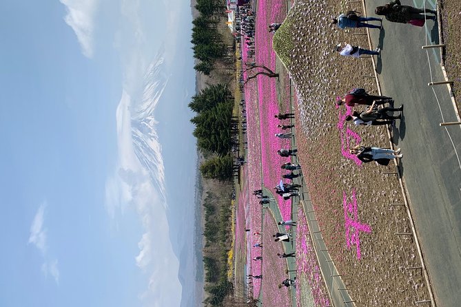 Private Tour to Mt. Fuji and Hakone (Fully Licenced Operator) - Oshino Hakkai: eight ponds and a calm Fuji side trip