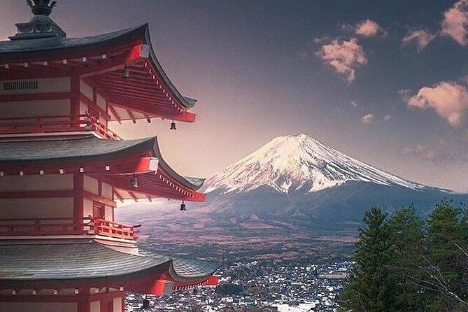 Private Tour to Mt. Fuji and Hakone (Fully Licenced Operator) - Saiko Iyashi no Sato Nemba and the option to add time