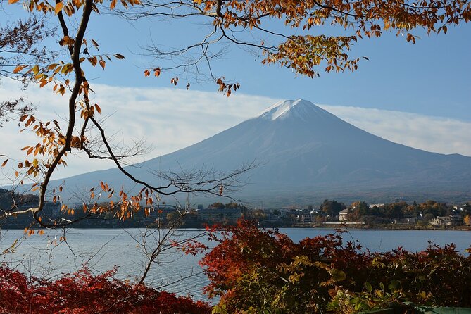 Private Tour to Mt Fuji and Hakone with English Speaking Driver - Oshino Hakkai, Where the Fuji Footprints Show Up