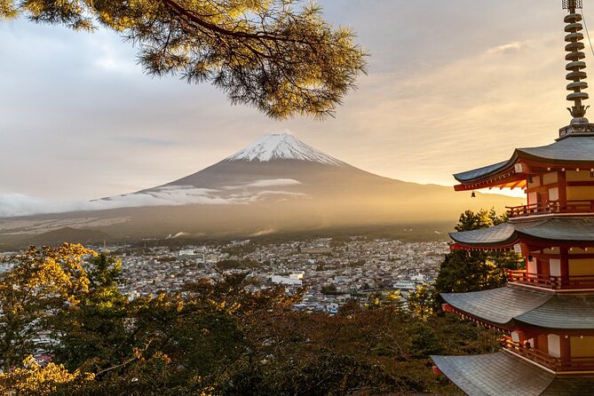 Private Tour to Mt Fuji and Hakone with English Speaking Driver - Chureito Pagoda and Oishi Park: The Photo Finish