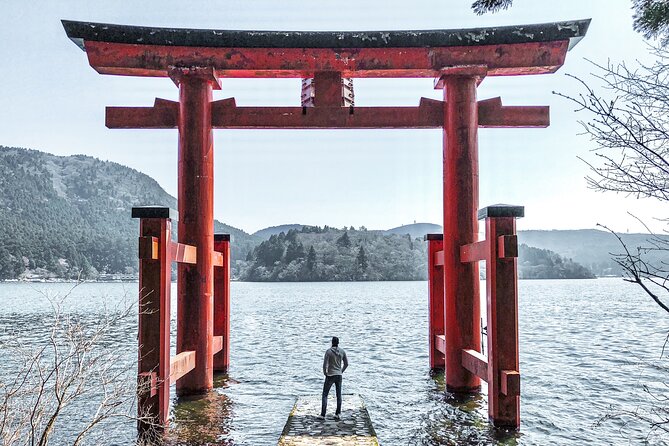 Private Tour to Mt Fuji and Hakone with English Speaking Driver - Private Van Value: What $495.51 Buys You