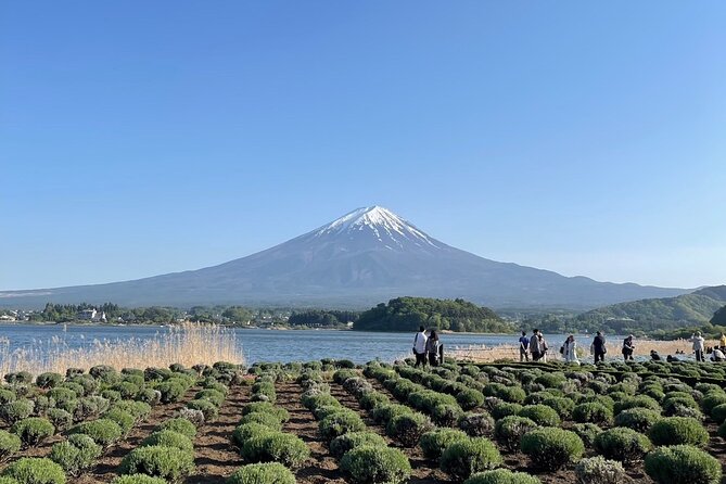 Private Tour to Mt Fuji and Hakone with English Speaking Driver - Hakone Volcano Air at Ōwakudani (and Those Black Eggs)