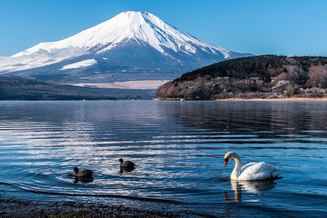 Private Unforgettable Mt Fuji Tour with English Speaking Driver - Saiko Iyashi no Sato Nemba: old village vibes you can walk through