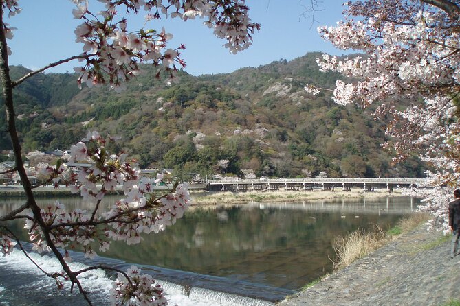 Private Walking Tour in Bamboo Forest & Hidden Spots in Arashiyama - Why Sagano and Arashiyama feel different than central Kyoto