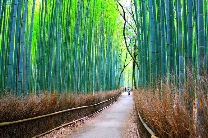 Private Walking Tour in Bamboo Forest & Hidden Spots in Arashiyama - Seiryōji (Saga Shakadō): the 9th-century aristocrat villa vibe