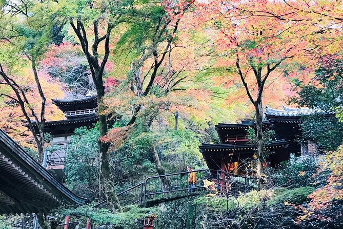 Private Walking Tour in Bamboo Forest & Hidden Spots in Arashiyama - Price and value: what $85.87 gets you in practice