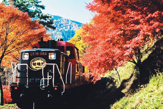 Sagano Romantic Train & Arashiyama, Kiyomizudera, Fushimi Inari Taisha Day Tour - Fushimi Inari-taisha Torii Gates: Start Early in Your Mind