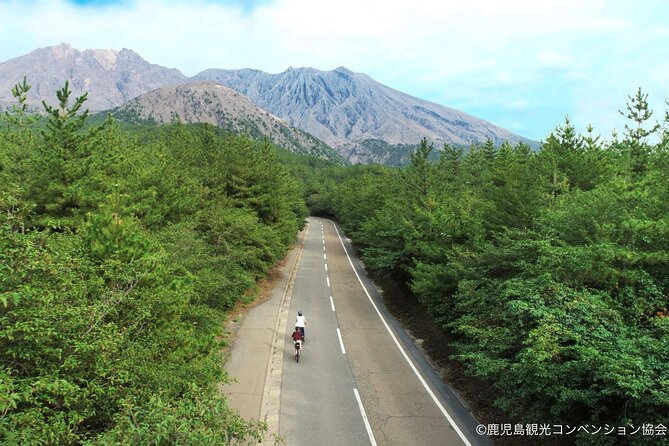 Sakurajima Century Lava Climb Journey with E-bike - Key highlights you should know before you go