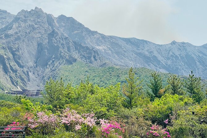 Sakurajima Century Lava Climb Journey with E-bike - Meeting at Sakurajima Visitor Center, then a safety-first start