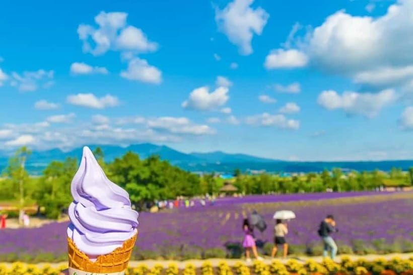 Sapporo: Furano Flower Sea & Biei Blue Pond Tour w/ Pickup - FAQ