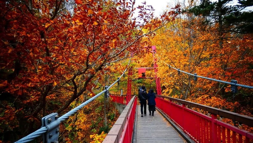 Sapporo: The Indigenous Ainu People & Jozankei walking tour - Ainu Culture Center: where the day’s meaning starts