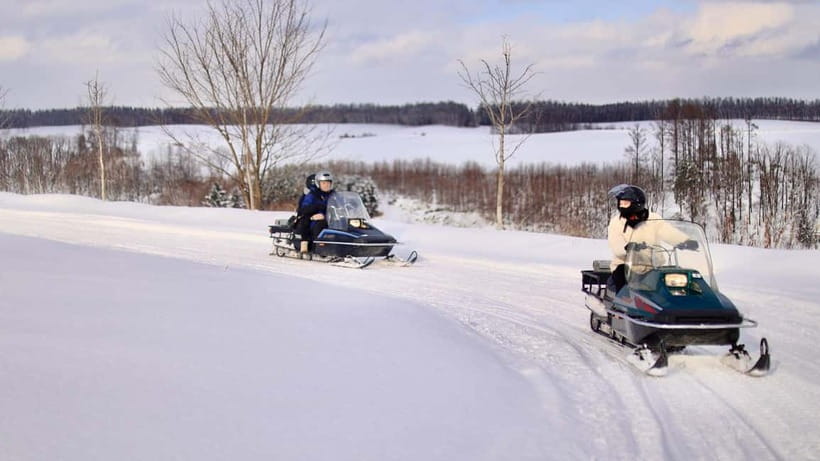 Sapporo Winter : Asahiyama Zoo (Penguin Fun & Snowmobile) - Asahiyama Zoo: the day’s animal highlight in winter settings