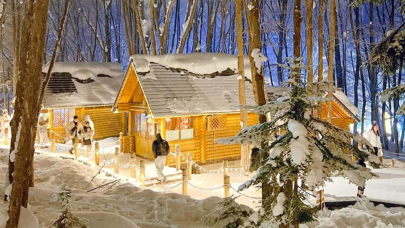 Sapporo Winter : Asahiyama Zoo (Penguin Fun & Snowmobile) - Timing and pacing: how to avoid that too-fast feeling