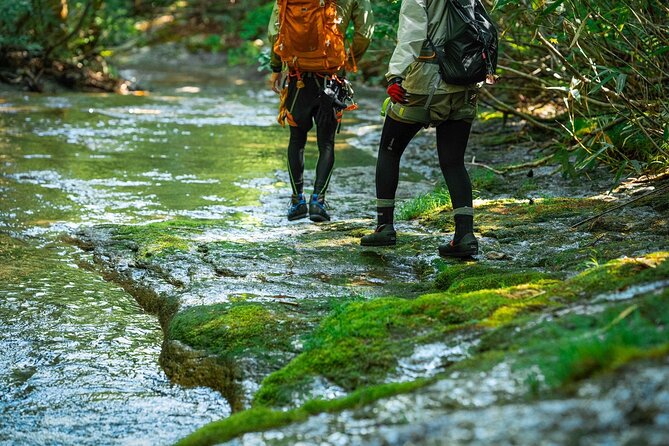 Sawanobori River Trekking Tour - The hand-dripped coffee moment, brewed from spring water