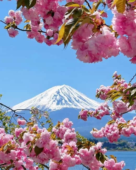 [Seasonal Limited] Mt. Fuji 5th Station &Hot Spring Day Tour - Weather, crowding, and the one thing that changes your day