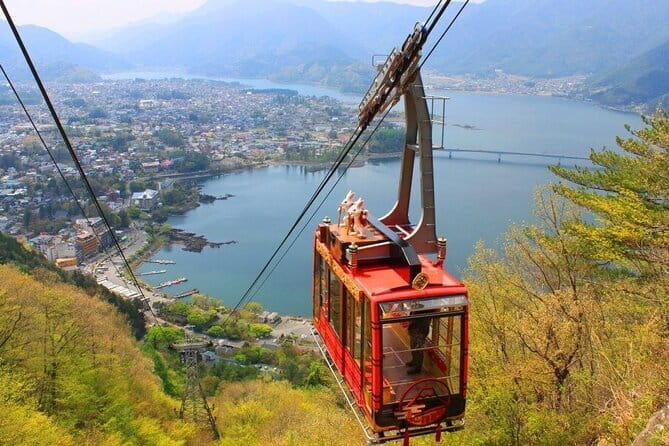 Seasonal Mt. Fuji Scenic Views, Fruit Picking and Ropeway Ride! - Quick hits to know before you go