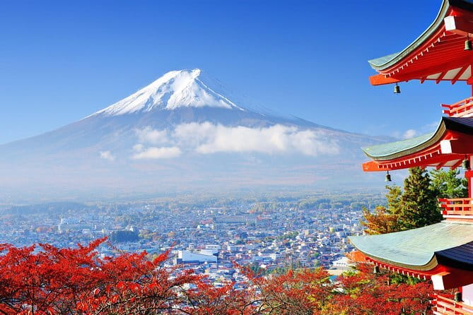 Seasonal Mt. Fuji Scenic Views, Fruit Picking and Ropeway Ride! - Guides, Wi-Fi, and bus comfort on a full day