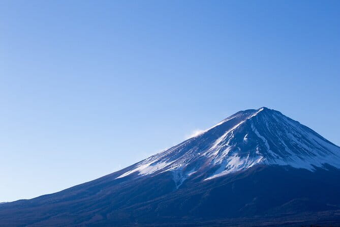 Seasonal Mt. Fuji Scenic Views, Fruit Picking and Ropeway Ride! - Shinjuku start, meeting point, and staying on schedule