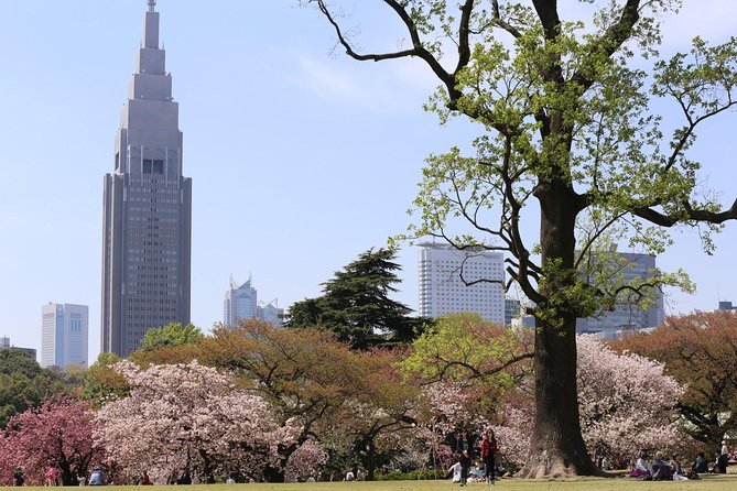 Shared Arrival Transfer : Haneda Airport to Central Tokyo City - Comfort on the way in: van or coach, luggage space, and safety