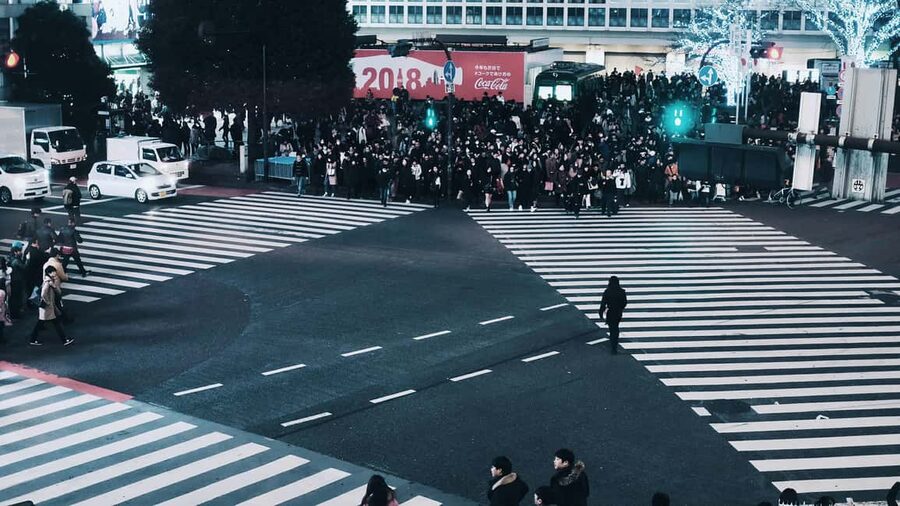 Shibuya: Crossing, Hachiko & Shibuya Sky Guided Tour - Hachiko to the Skyline: why this walk feels efficient