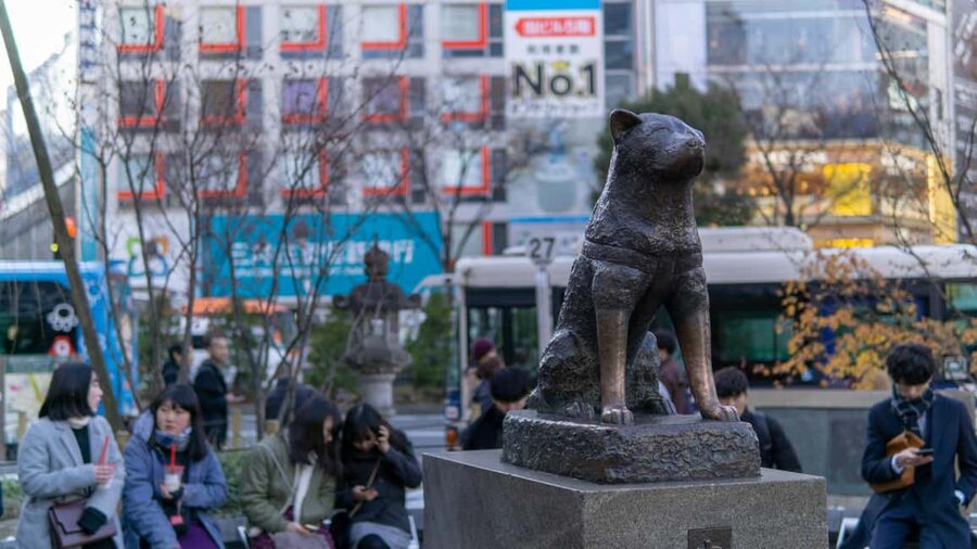 Shibuya: Crossing, Hachiko & Shibuya Sky Guided Tour - Shibuya Parco and CyberSpace: Nintendo, Pokémon, and anime shopping