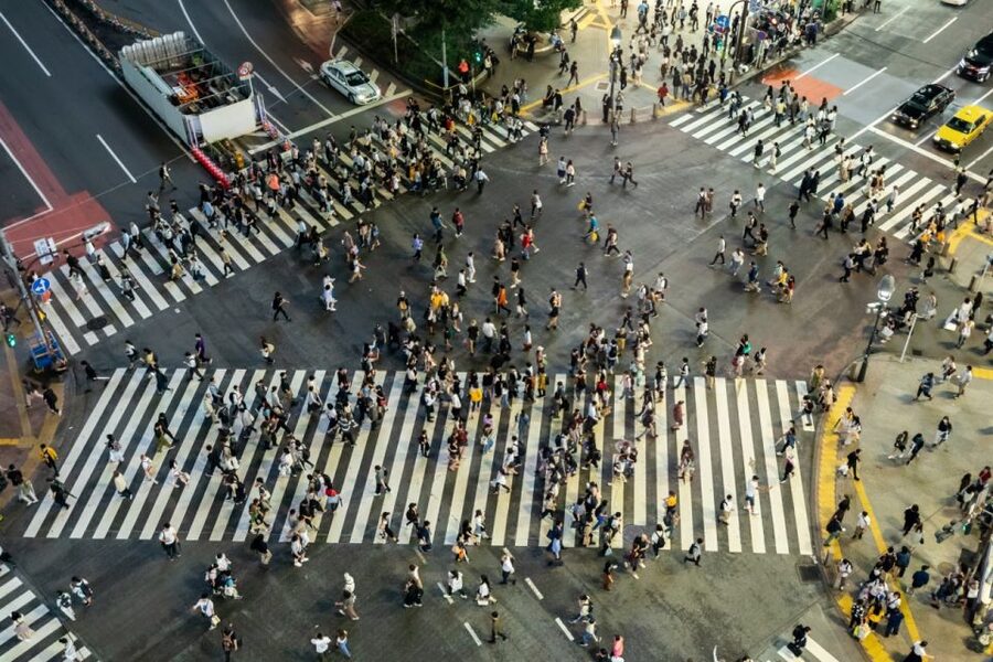 Shibuya & Harajuku: Hidden Gems & Highlights Private Tour - Who Should Book This Shibuya and Harajuku Tour?