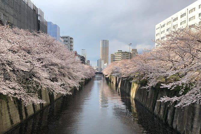 Shinjuku: Food Tour – 15 Dishes & 3 Drinks at 4 Eateries - Group size, guide quality, and how to avoid the one downside