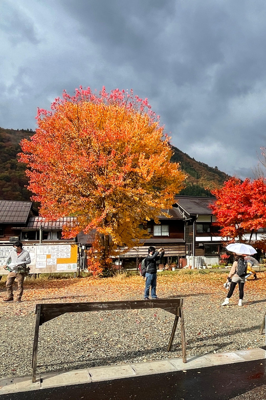 Shirakawa-go UNESCO Half-Day Tour from Takayama - Who should book this (and who should skip it)