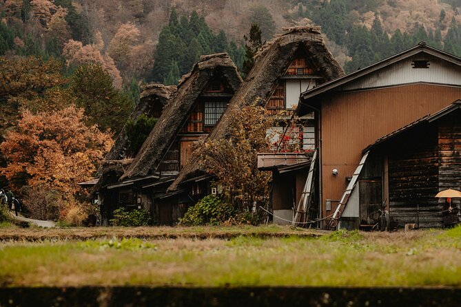 Shirakawago & Kanazawa from Kanazawa - Key highlights to look for