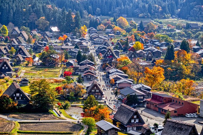 Shirakawago & Takayama Bus Tour from Nagoya w/Optional Lunch - Who This Tour Works Best For (and Who Should DIY)