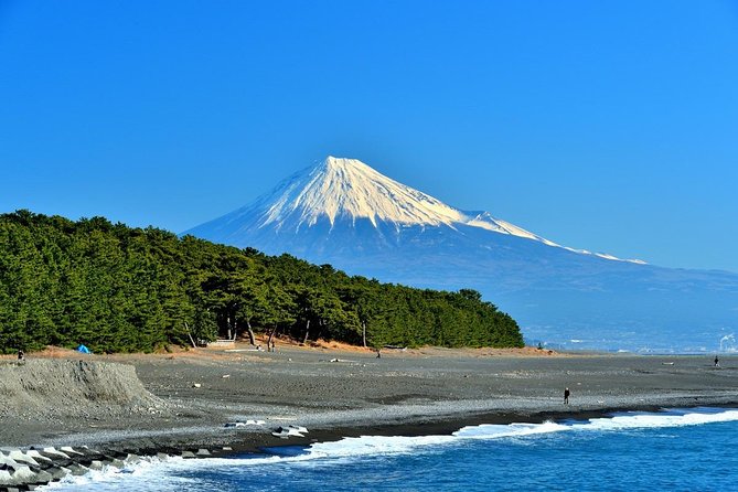 Shizuoka/Shimizu Mt Fuji View 6 hr Private Tour: Guide Only - Key things to know before you go