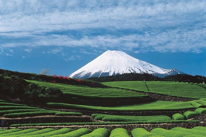 Shizuoka/Shimizu Mt Fuji View 6 hr Private Tour: Guide Only - Kunozan Toshogu Shrine and Nihondaira Parkway, Tokugawa meets tea-country views