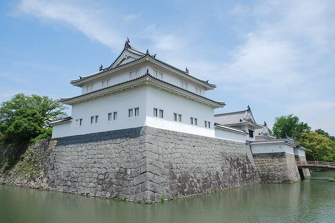 Shizuoka/Shimizu Mt Fuji View 6 hr Private Tour: Guide Only - The walking-day reality, and how to plan your 3 to 4 stops