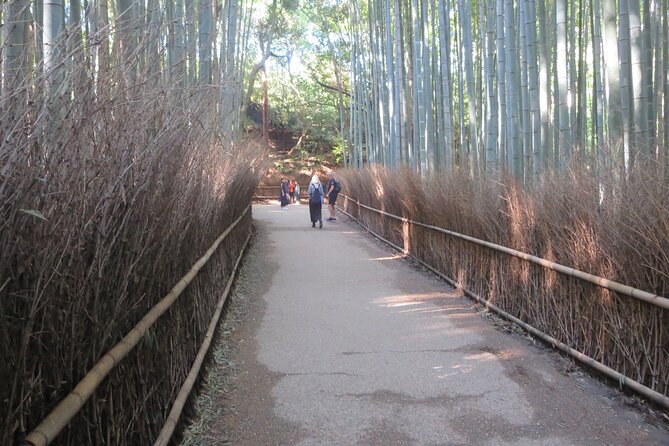 Shore excursion: Full Day Private Kyoto Tour From Osaka/Kobe Port - Gion and Pontocho: traditional streets with a short 1-hour window