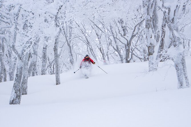 Ski or Snowboard Lesson in Shiga Kogen (4Hours) - Starting at Hirao, and Why Meeting Points Matter
