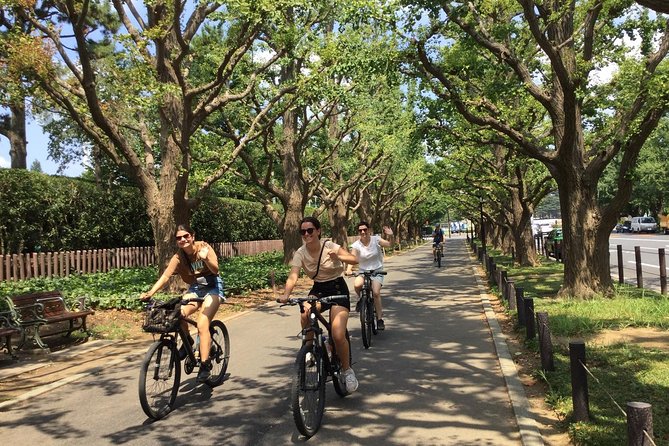 Small Group Cycling Tour in Tokyo - Aoyama Cemetery and Roppongi Hills: History Meets Modern Tokyo