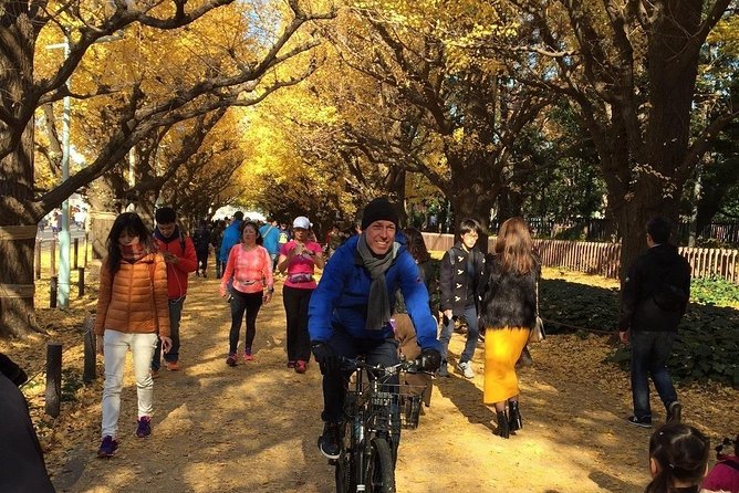 Small Group Cycling Tour in Tokyo - Bikes, E-Bike Choice, and Hill Reality