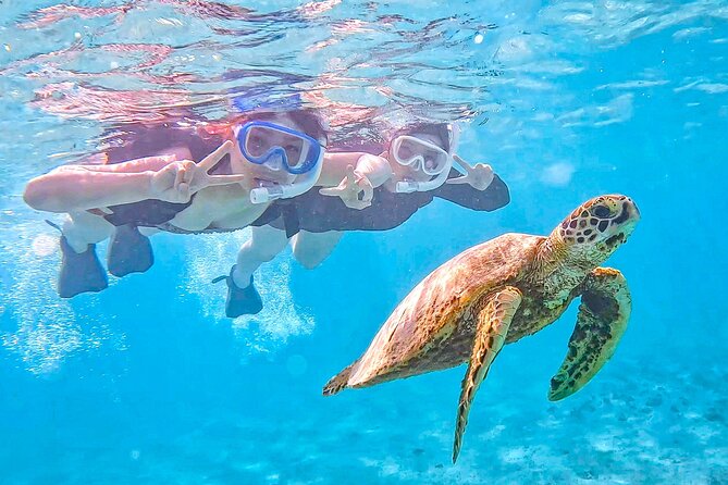 Snorkeling Activity in Okinawa Miyako Japan - Key Points Worth Knowing Before You Go
