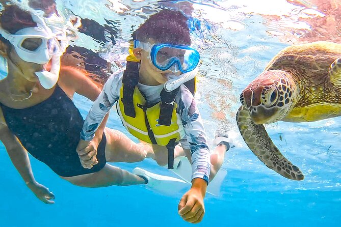 Snorkeling Activity in Okinawa Miyako Japan - Equipment, Comfort, and Who Will Enjoy It Most