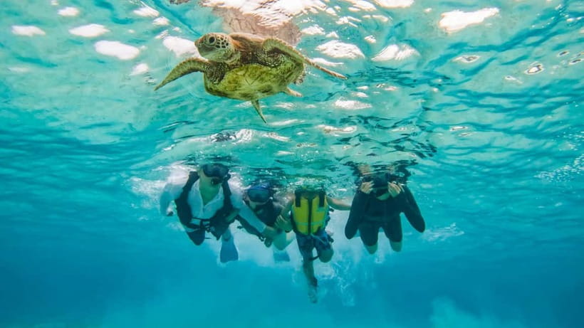 Snorkeling Activity in Okinawa Miyako Japan - The overall experience: what makes this Miyakojima turtle trip feel different
