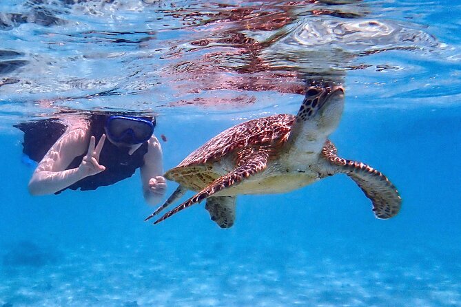 Snorkeling Activity in Okinawa Miyako Japan - Safety briefing, wetsuits, and gear that helps beginners