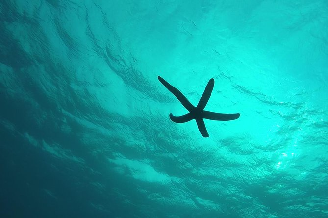 Snorkeling in the Blue Cave area【Okinawa Prefecture: Free feeding & photo images!English and Chinese speaking guide available! - Gear and comfort, what’s included and what to watch for